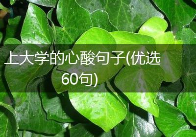 上大学的心酸句子(优选60句)