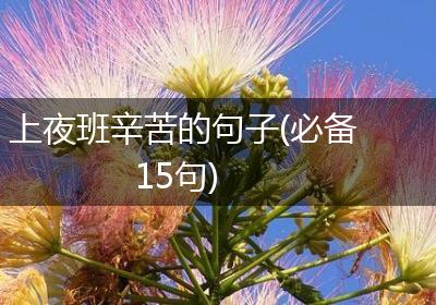 上夜班辛苦的句子(必备15句)