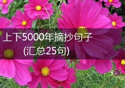 上下5000年摘抄句子(汇总25句)