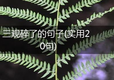 三观碎了的句子(实用20句)