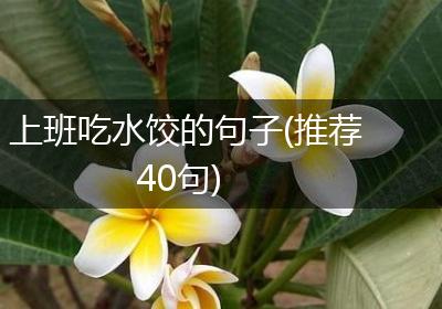 上班吃水饺的句子(推荐40句)