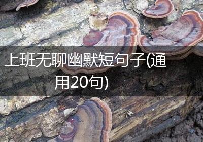 上班无聊幽默短句子(通用20句)