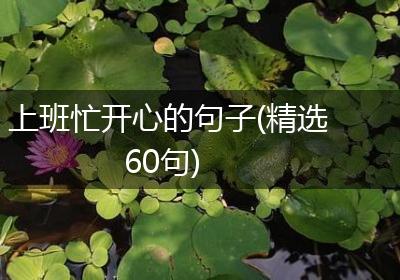 上班忙开心的句子(精选60句)