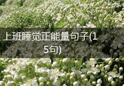 上班睡觉正能量句子(15句)