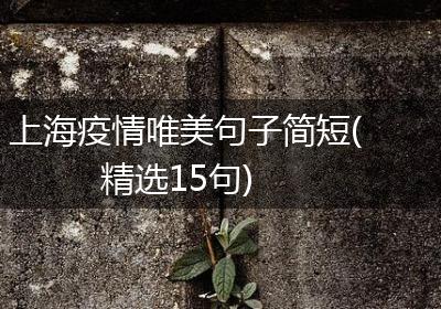 上海疫情唯美句子简短(精选15句)