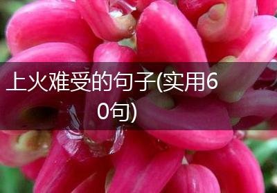 上火难受的句子(实用60句)