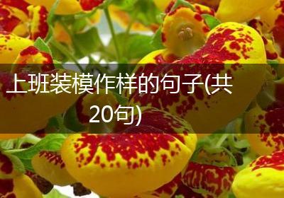 上班装模作样的句子(共20句)
