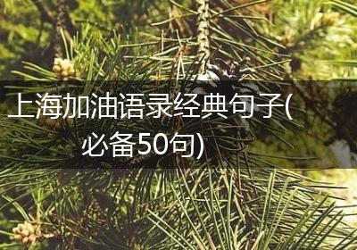 上海加油语录经典句子(必备50句)