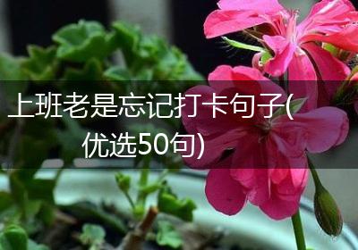 上班老是忘记打卡句子(优选50句)