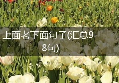 上面老下面句子(汇总98句)