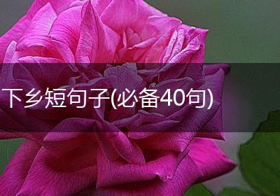 下乡短句子(必备40句)