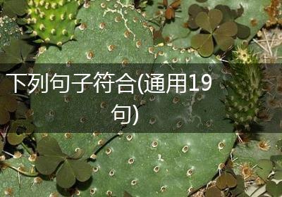下列句子符合(通用19句)