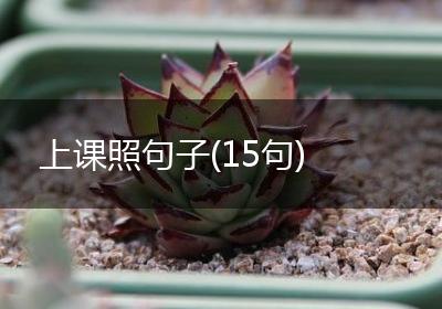 上课照句子(15句)