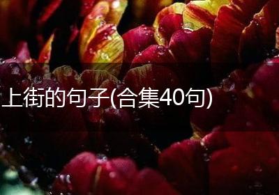 上街的句子(合集40句)