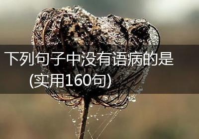 下列句子中没有语病的是(实用160句)
