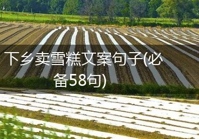 下乡卖雪糕文案句子(必备58句)