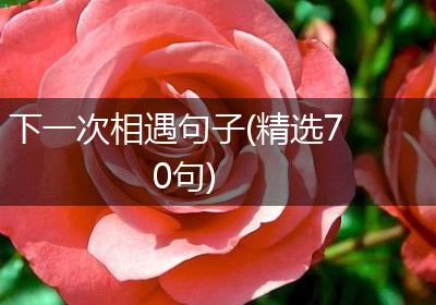 下一次相遇句子(精选70句)