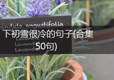 下初雪很冷的句子(合集50句)
