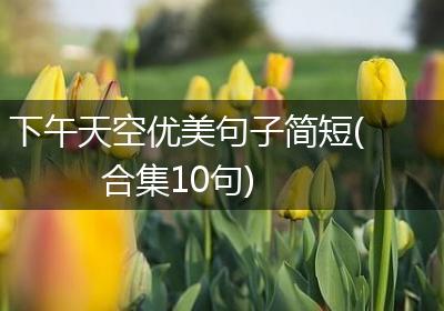 下午天空优美句子简短(合集10句)