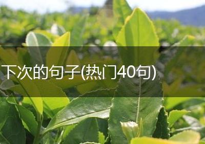 下次的句子(热门40句)