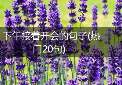 下午接着开会的句子(热门20句)