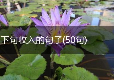 下句收入的句子(50句)