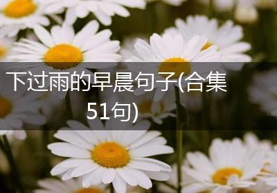 下过雨的早晨句子(合集51句)