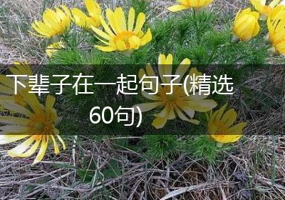 下辈子在一起句子(精选60句)