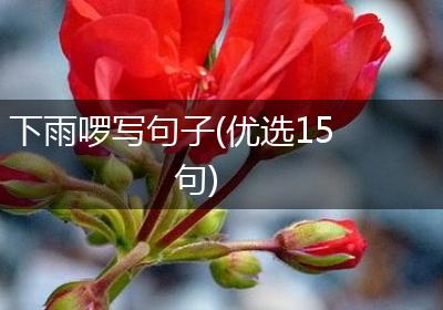 下雨啰写句子(优选15句)