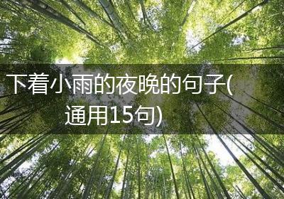 下着小雨的夜晚的句子(通用15句)