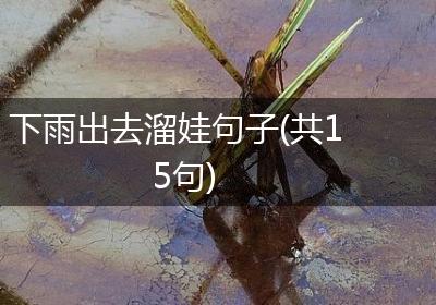 下雨出去溜娃句子(共15句)