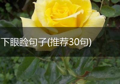 下眼睑句子(推荐30句)