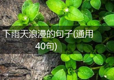 下雨天浪漫的句子(通用40句)
