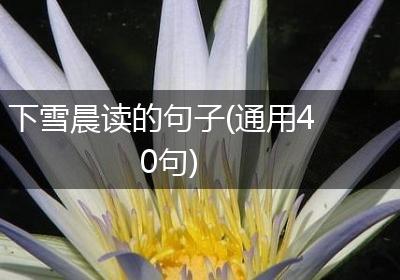 下雪晨读的句子(通用40句)
