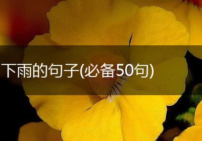下雨的句子(必备50句)