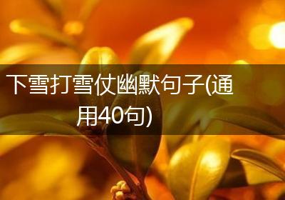 下雪打雪仗幽默句子(通用40句)