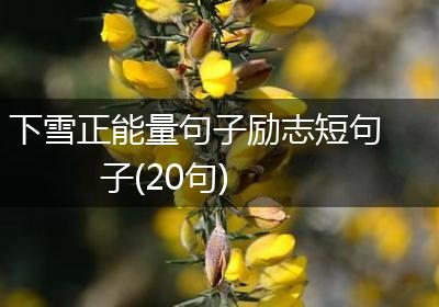 下雪正能量句子励志短句子(20句)