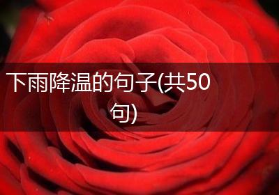 下雨降温的句子(共50句)