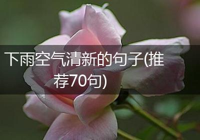 下雨空气清新的句子(推荐70句)