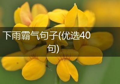 下雨霸气句子(优选40句)