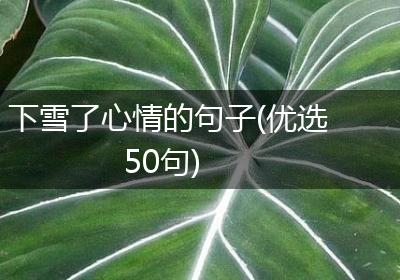 下雪了心情的句子(优选50句)