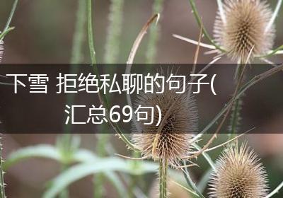 下雪 拒绝私聊的句子(汇总69句)