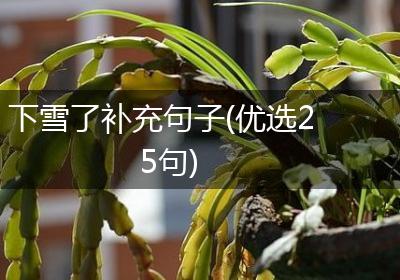 下雪了补充句子(优选25句)