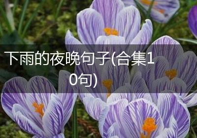 下雨的夜晚句子(合集10句)