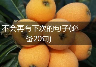 不会再有下次的句子(必备20句)