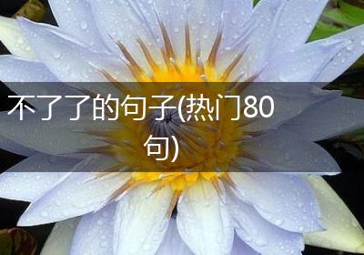 不了了的句子(热门80句)