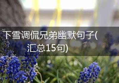 下雪调侃兄弟幽默句子(汇总15句)