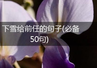 下雪给前任的句子(必备50句)