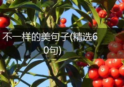 不一样的美句子(精选60句)