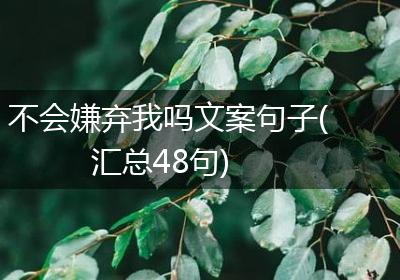 不会嫌弃我吗文案句子(汇总48句)